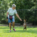 The Impact of Volunteering at Animal Shelters in Southeast SC