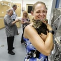 The Challenges of Handling Sick or Injured Animals at Shelters in Southeast SC