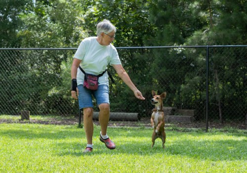 The Impact of Volunteering at Animal Shelters in Southeast SC