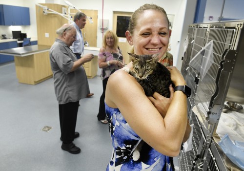 The Challenges of Handling Sick or Injured Animals at Shelters in Southeast SC