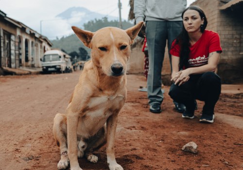 Making a Difference: Advocating for Animal Welfare in Southeast SC